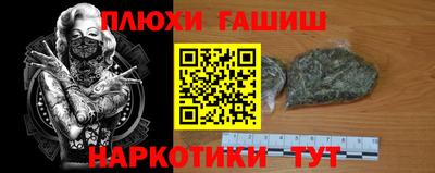 прущие грибы Краснокаменск